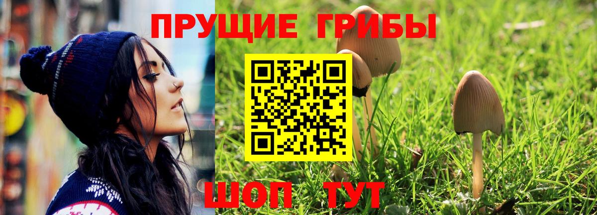 Галлюциногенные грибы ЛСД Нальчик