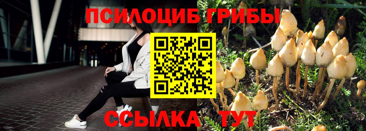 наркотики  Галлюциногенные грибы GOLDEN TEACHER  Галлюциногенные грибы Psilocybine cubensis  Вход с VPN  Нальчик 